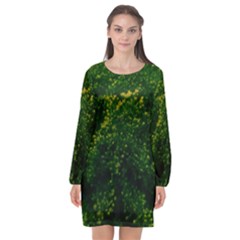 Green Goldenrod Long Sleeve Chiffon Shift Dress 