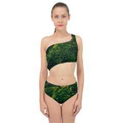 Green Goldenrod Spliced Up Two Piece Swimsuit