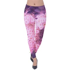 Pink Closing Queen Annes Lace Velvet Leggings by okhismakingart