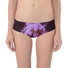 Purple Closing Queen Annes Lace Classic Bikini Bottoms by okhismakingart