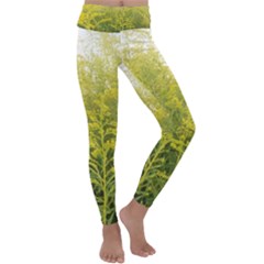 Yellow Goldenrod Kids  Lightweight Velour Classic Yoga Leggings by okhismakingart