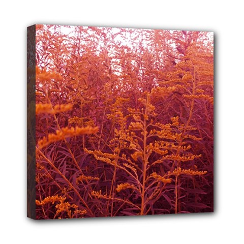 Red Goldenrod Mini Canvas 8  X 8  (stretched)