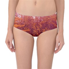 Red Goldenrod Mid-waist Bikini Bottoms by okhismakingart