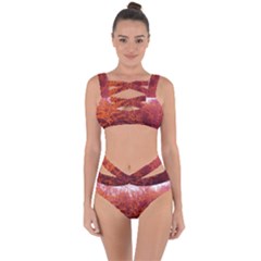 Red Goldenrod Bandaged Up Bikini Set  by okhismakingart