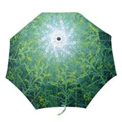Turquoise Goldenrod Folding Umbrellas by okhismakingart