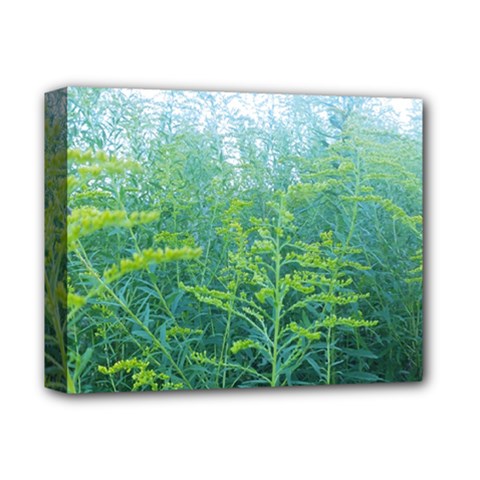 Turquoise Goldenrod Deluxe Canvas 14  X 11  (stretched) by okhismakingart