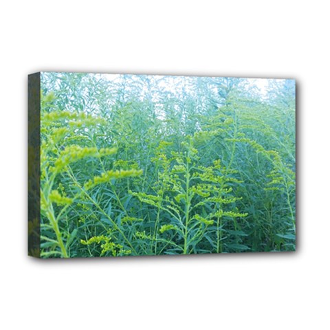 Turquoise Goldenrod Deluxe Canvas 18  X 12  (stretched) by okhismakingart