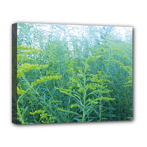 Turquoise Goldenrod Deluxe Canvas 20  X 16  (stretched) by okhismakingart