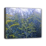 Blue Goldenrod Canvas 10  x 8  (Stretched)