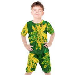 Yellow Sumac Bloom Kids  Tee And Shorts Set by okhismakingart