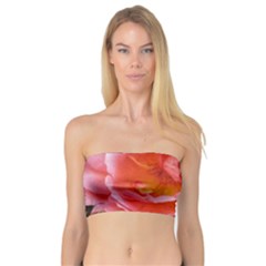 Pink Rose Bandeau Top by okhismakingart