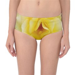 Pale Yellow Rose Mid-waist Bikini Bottoms by okhismakingart