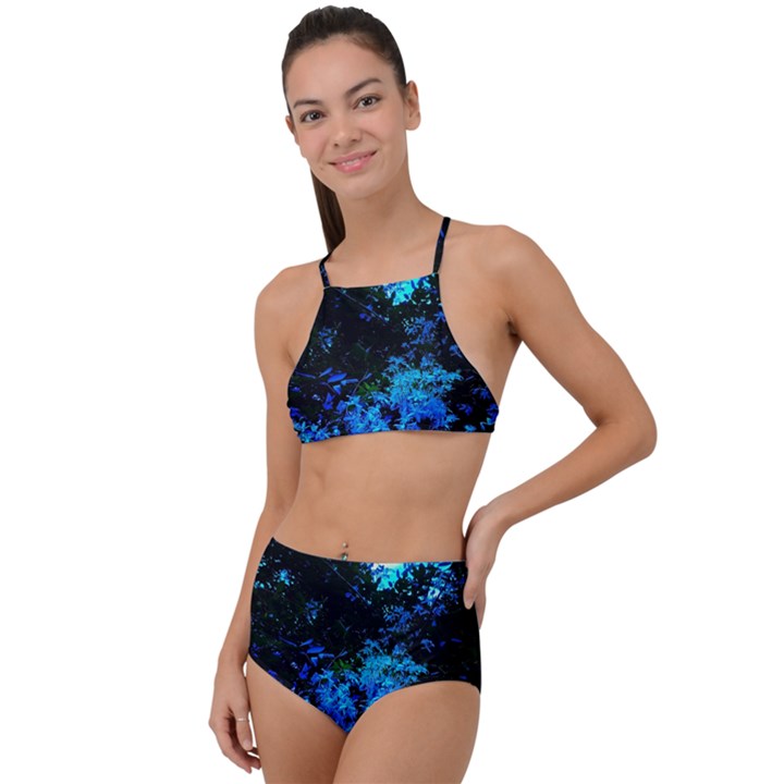 Cascade of Flowers High Waist Tankini Set