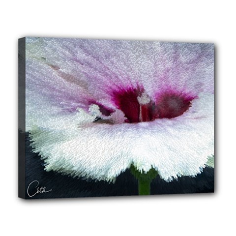 Hibiscus Flower Canvas 14  X 11  (framed) by Cbth