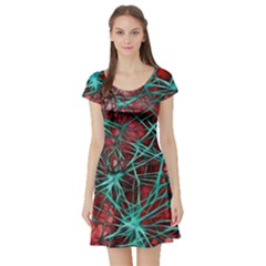 Nerves Cells Star Dendrites Sepia Short Sleeve Skater Dress