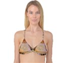 Decorative Celtic Knot Reversible Tri Bikini Top View1