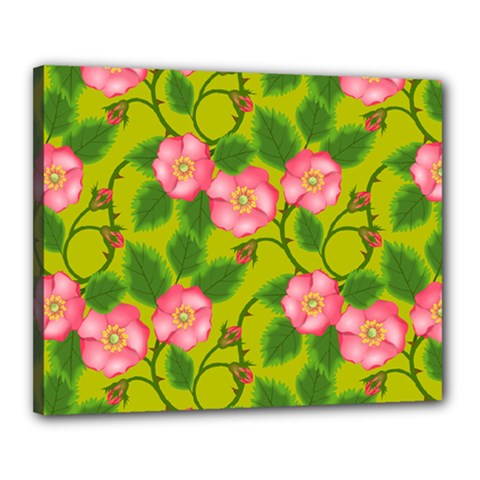 Roses Flowers Pattern Bud Pink Canvas 20  X 16  (stretched) by HermanTelo