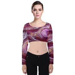 Paint Acrylic Paint Art Colorful Velvet Long Sleeve Crop Top by Pakrebo