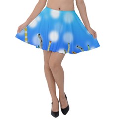 Sea Underwater Life Fish Velvet Skater Skirt by HermanTelo