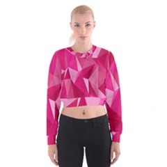 Pattern Halftone Geometric Cropped Sweatshirt