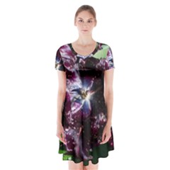 Galaxy Tulip Short Sleeve V-neck Flare Dress by okhismakingart