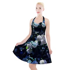 Blue Snowballs Ii Halter Party Swing Dress  by okhismakingart