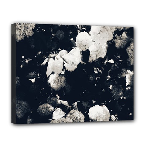 High Contrast Black And White Snowballs Ii Canvas 14  X 11  (stretched) by okhismakingart