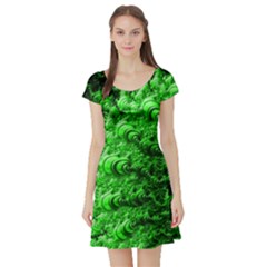 Green Abstract Fractal Background Short Sleeve Skater Dress