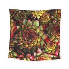 Plant Succulents Succulent Square Tapestry (small) by Pakrebo