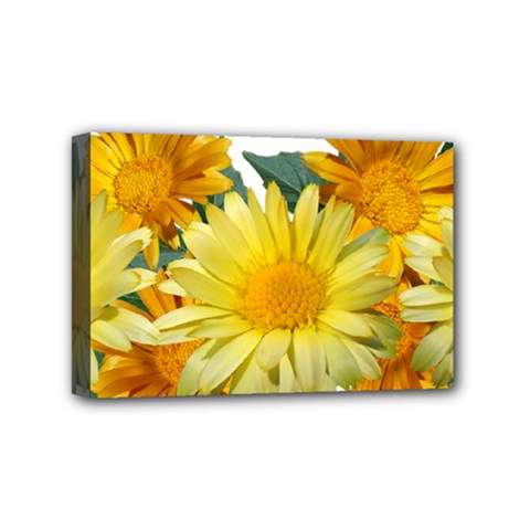 Daisies Flowers Yellow Arrangement Mini Canvas 6  X 4  (stretched) by Pakrebo