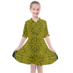 Flowers In Yellow For Love Of The Nature Kids  All Frills Chiffon Dress by pepitasart