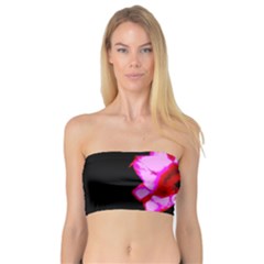 Pink And Red Tulip Bandeau Top by okhismakingart