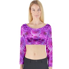 Nature Blossom Plant Flower Purple Petal Bloom Pattern Pollen Pink Flora Flowers Dahlia Design Beaut Long Sleeve Crop Top by Vaneshart