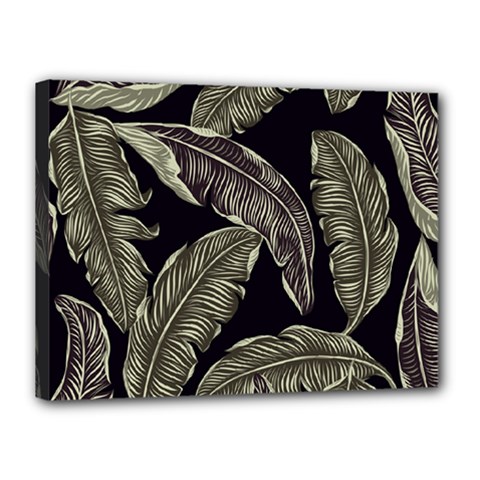 Jungle Canvas 16  X 12  (stretched) by Sobalvarro