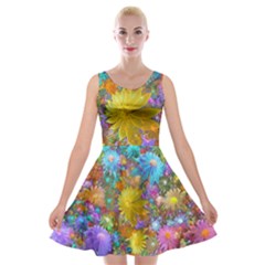 Apo Flower Power Velvet Skater Dress by WolfepawFractals
