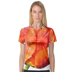 Tulip Watercolor Red And Black Stripes V-neck Sport Mesh Tee