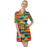 Background Colorful Abstract Belted Shirt Dress