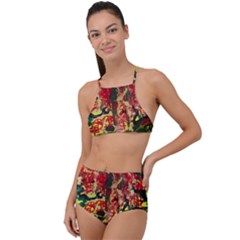 Red Country-1-2 High Waist Tankini Set by bestdesignintheworld