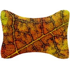 Autumn Leaves Forest Fall Color Seat Head Rest Cushion by Wegoenart