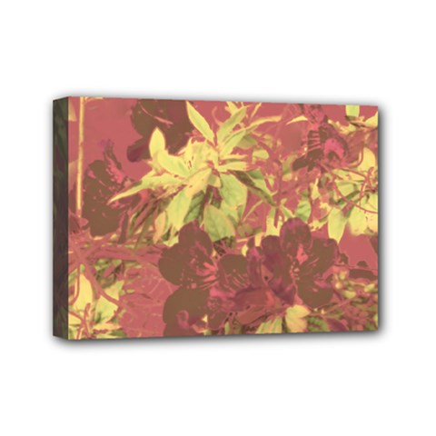 Tropical Vintage Floral Artwork Print Mini Canvas 7  X 5  (stretched) by dflcprintsclothing