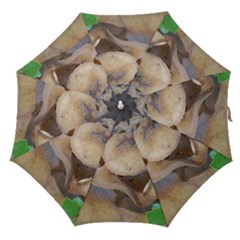 Close Up Mushroom Abstract Straight Umbrellas by Fractalsandkaleidoscopes