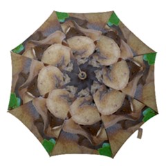 Close Up Mushroom Abstract Hook Handle Umbrellas (small) by Fractalsandkaleidoscopes