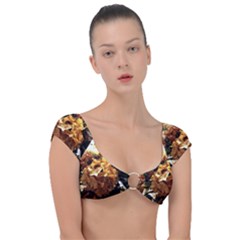 Begonia 1 2 Cap Sleeve Ring Bikini Top