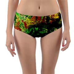 Revelation 1 2 Reversible Mid-waist Bikini Bottoms by bestdesignintheworld