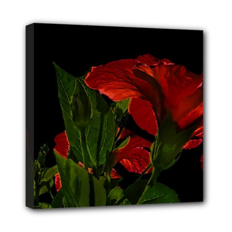 Dark Floral Photo Illustration Mini Canvas 8  X 8  (stretched) by dflcprintsclothing