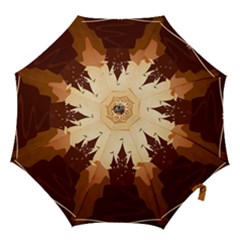 Beautiful Castle Hook Handle Umbrellas (large) by Vaneshart