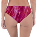 Lesbian Pride Abstract Smokey Shapes Reversible Classic Bikini Bottoms View4