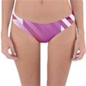 Lesbian Pride Diagonal Stripes Colored Checkerboard Pattern Reversible Hipster Bikini Bottoms View1