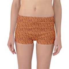 Animal Skin - Lion And Orange Skinnes Animals - Savannah And Africa Reversible Boyleg Bikini Bottoms by DinzDas