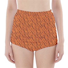 Animal Skin - Lion And Orange Skinnes Animals - Savannah And Africa High-waisted Bikini Bottoms by DinzDas